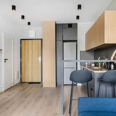 Aparthouse Fabryczna 罗兹